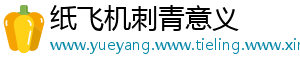 纸飞机刺青意义